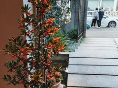 -玖味(老工人西路店)