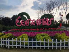 -天府芙蓉园