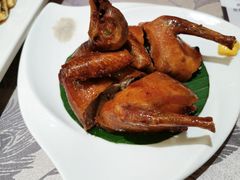 -金汇酒楼(中山东区店)