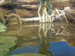 -沙沙哗啦海洋馆(华宇百花谷店)