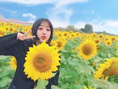 -映月湖中央公园