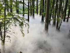 -东湖落雁景区