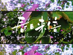 -烈士陵园(地铁站)