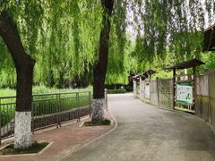 -黄村公园