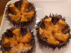 -海胆小馆(东北水饺·春柳店)