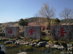 -香雪海