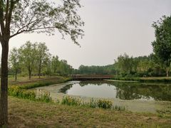 -东郊湿地公园