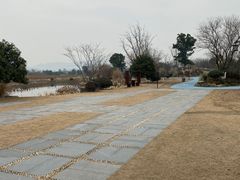 -径山花海