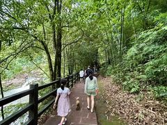 -赤水丹霞旅游区·大瀑布