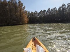 -上海海湾国家森林公园