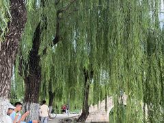-清华大学-甲所餐厅