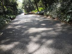 -莲花山公园