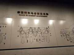 -秦始皇帝陵博物院-丽山园