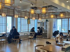 -Let's go狗咖·猫咖·奶狗·桌游(春熙路IFS店)