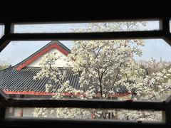 -堤角公园