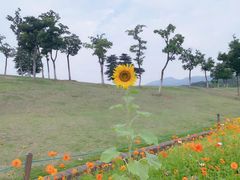 -钟山体育运动公园
