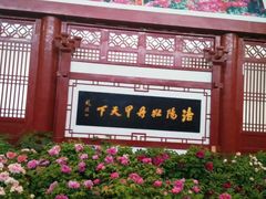 -神州牡丹园