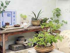 -邊城書店