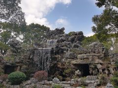-上海鲜花港