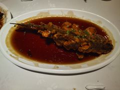 糖醋黄河鲤鱼-金春禧(世茂国际广场店)