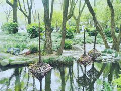 -上海共青森林公园