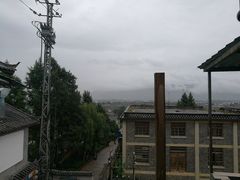 -蘑统田下·野生菌火锅