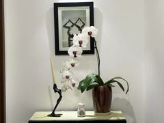 -Isofit 普拉提·婵柔工作室