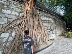 -桂林两江四湖景区