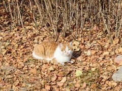 -同至人购物中心(朝阳街店)