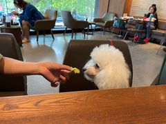 -星巴克臻选(南京艾尚天地店)