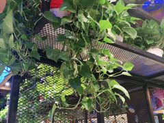 -鱼库·不仅是一家烤鱼店(车公庙店)