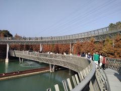-梅峰山地公园
