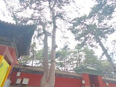 -普乐寺
