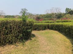 -中国科学院西双版纳热带植物园