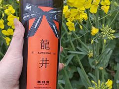 -新时沏奶茶(瑞安马屿店)