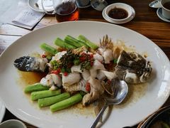 -猪肉婆私房菜(容桂总店)
