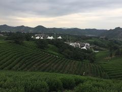 -帐篷客·溪龙茶谷度假酒店