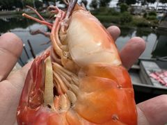 -蟹村草堂·苏式园林人文农家·大闸蟹