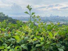 -火炉山森林公园