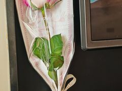 -台山颐和温泉城