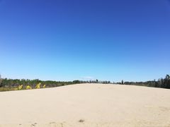 -东郊湿地公园
