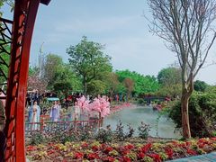 -鹅湖玫瑰文化园