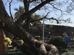 -石炮台公园