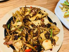 千页豆腐茶树菇炒肉-谷养元(老火车站店)