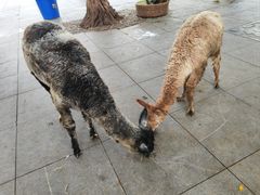 -乐和乐都主题乐园