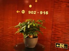 -成都凯宾斯基饭店