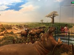 -陕西自然博物馆