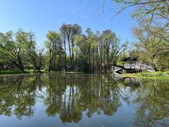 -上海共青森林公园