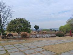 -径山花海