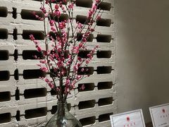 -顺风123(观音桥大融城店)